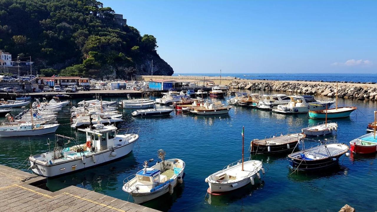 Apartmán Relais Del Mare Con Terrazza Fronte Mare Free Parking Massa Lubrense Exteriér fotografie