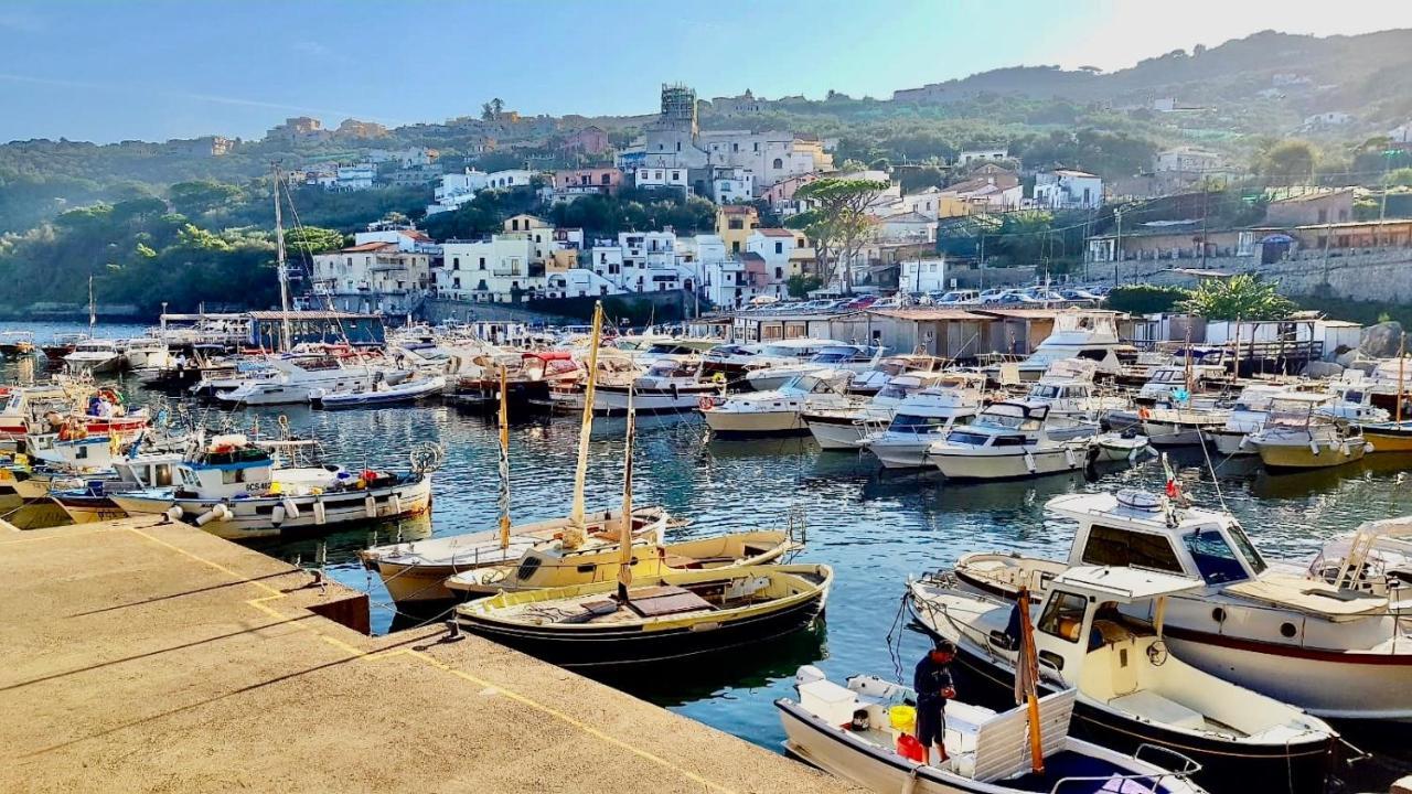 Apartmán Relais Del Mare Con Terrazza Fronte Mare Free Parking Massa Lubrense Exteriér fotografie